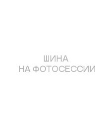 Шины Tunga 185/65 r14 Nordway 3 86Q Шипы Шины Tunga 185/65 r14 Nordway 3 86Q Шипы